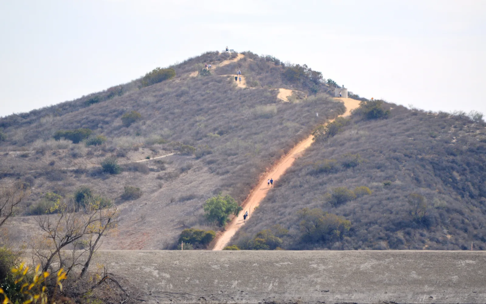 Horse and hiking trail winding through chaparral and oak forest with distant hills in Peters Canyon Regional Park, Orange County