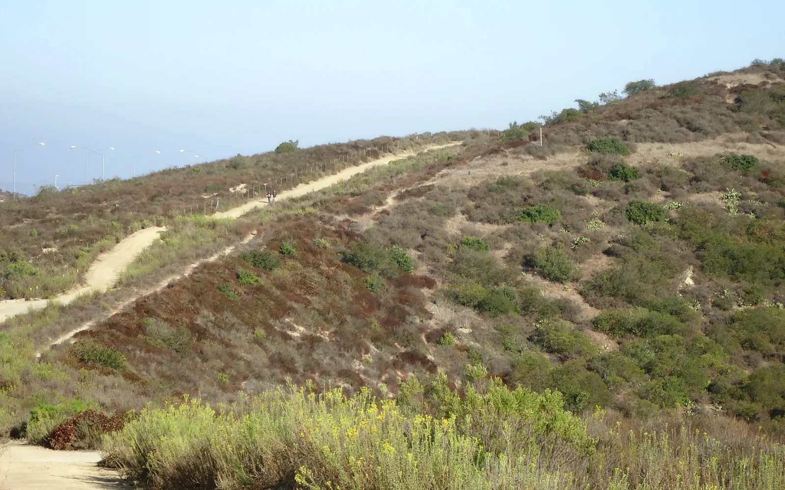 Boomer Ridge Trail at Laguna Coast Wilderness Park showing a sandy path through coastal hills with native chaparral vegetation