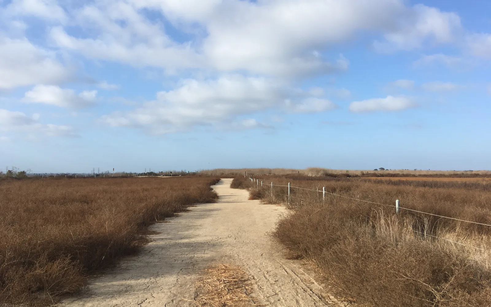 Paved recreational trail through Fairview Park in Newport Beach with landscaping and community amenities visible